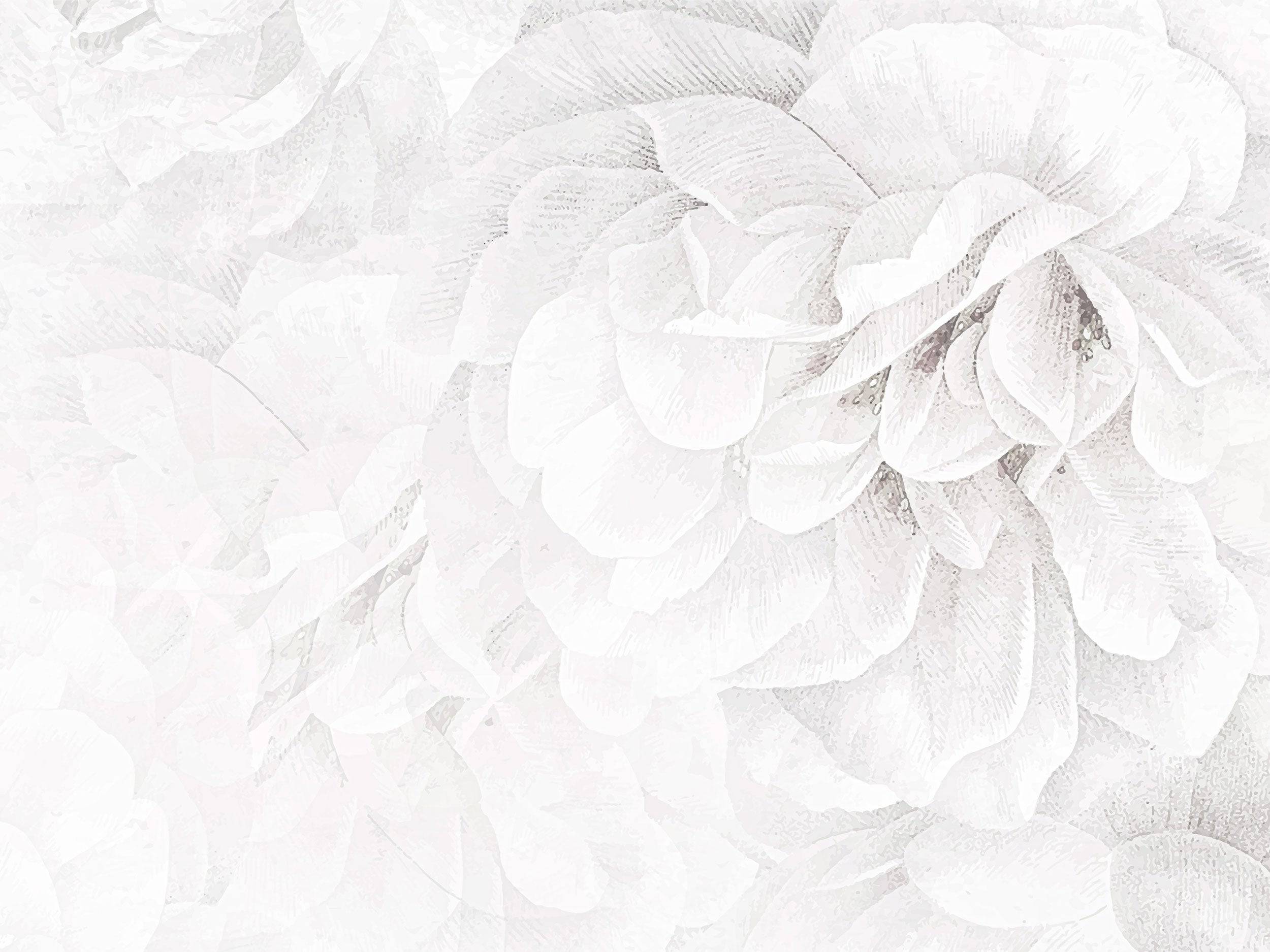 Roses Are White - Eclart Walls