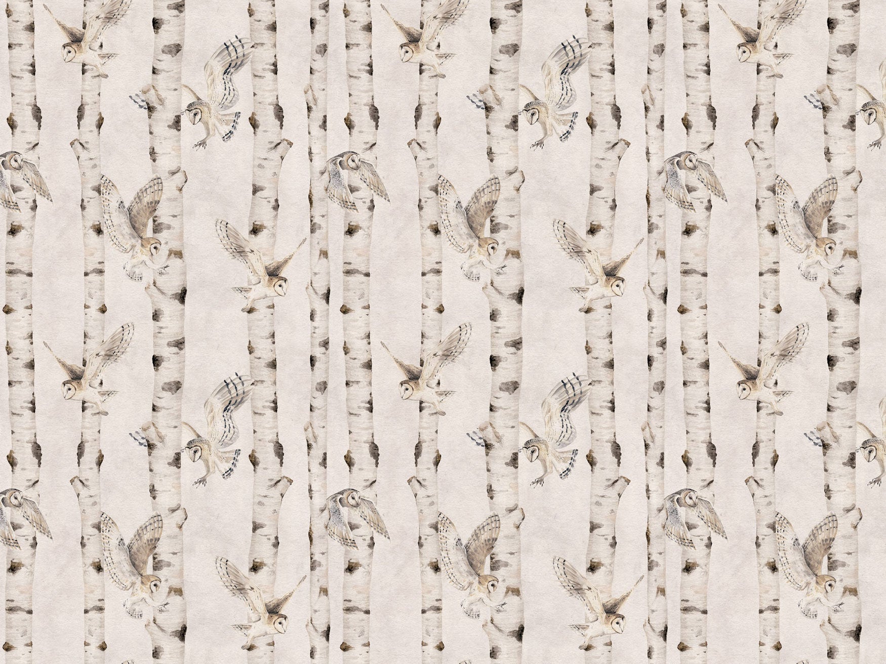 Birch And Owls - Eclart Walls