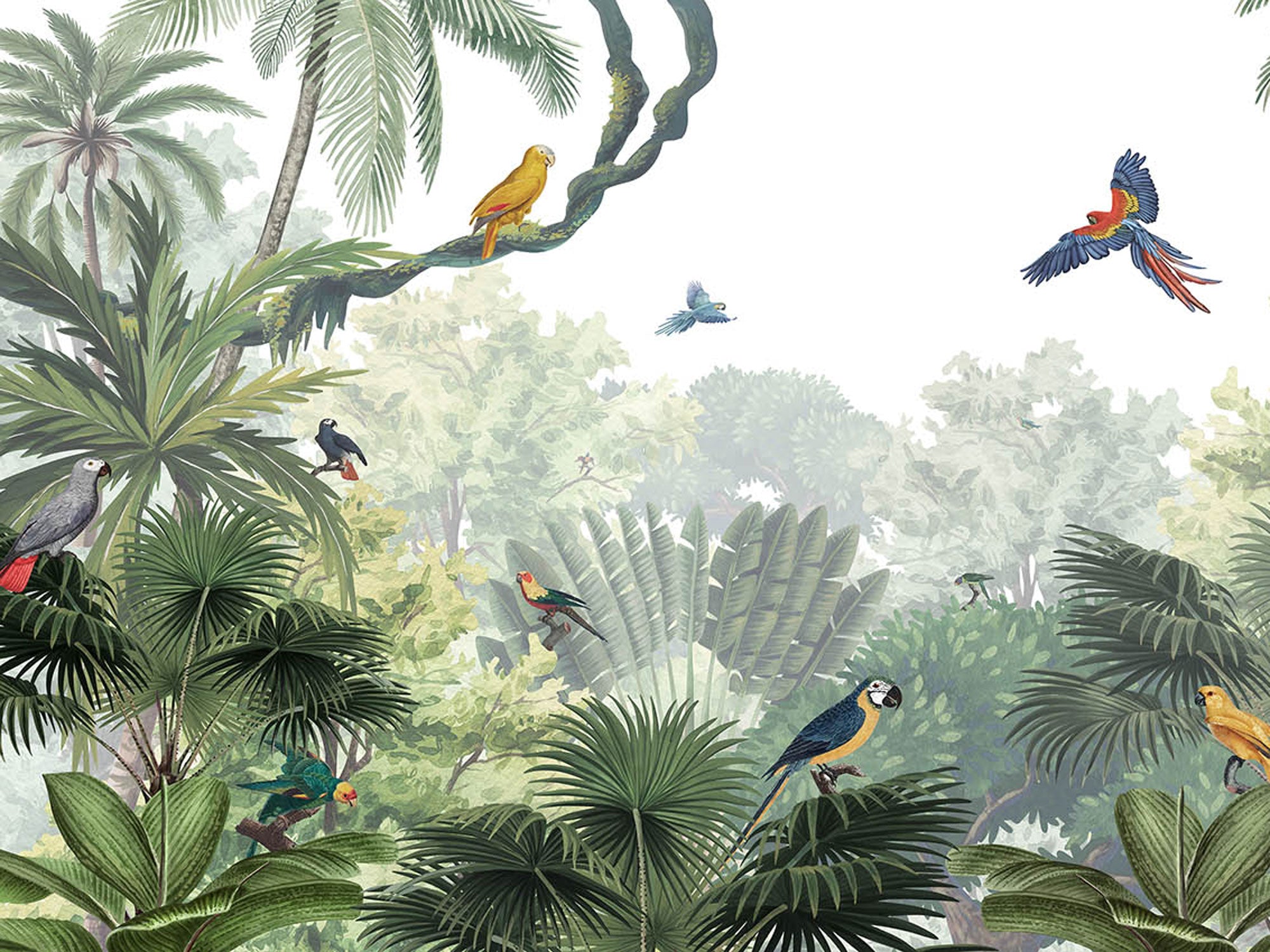 Canopy Jungle Natural - Eclart Walls