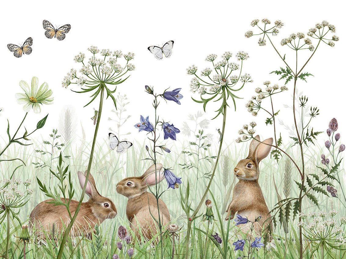In The Undergrowth - Eclart Walls