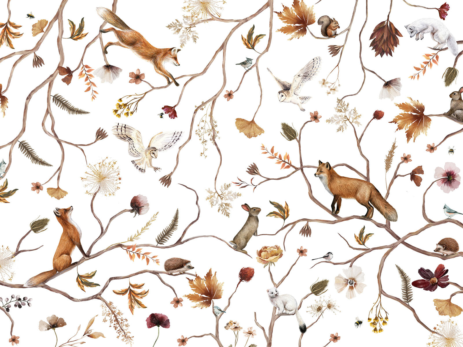 Playful Forest - Eclart Walls