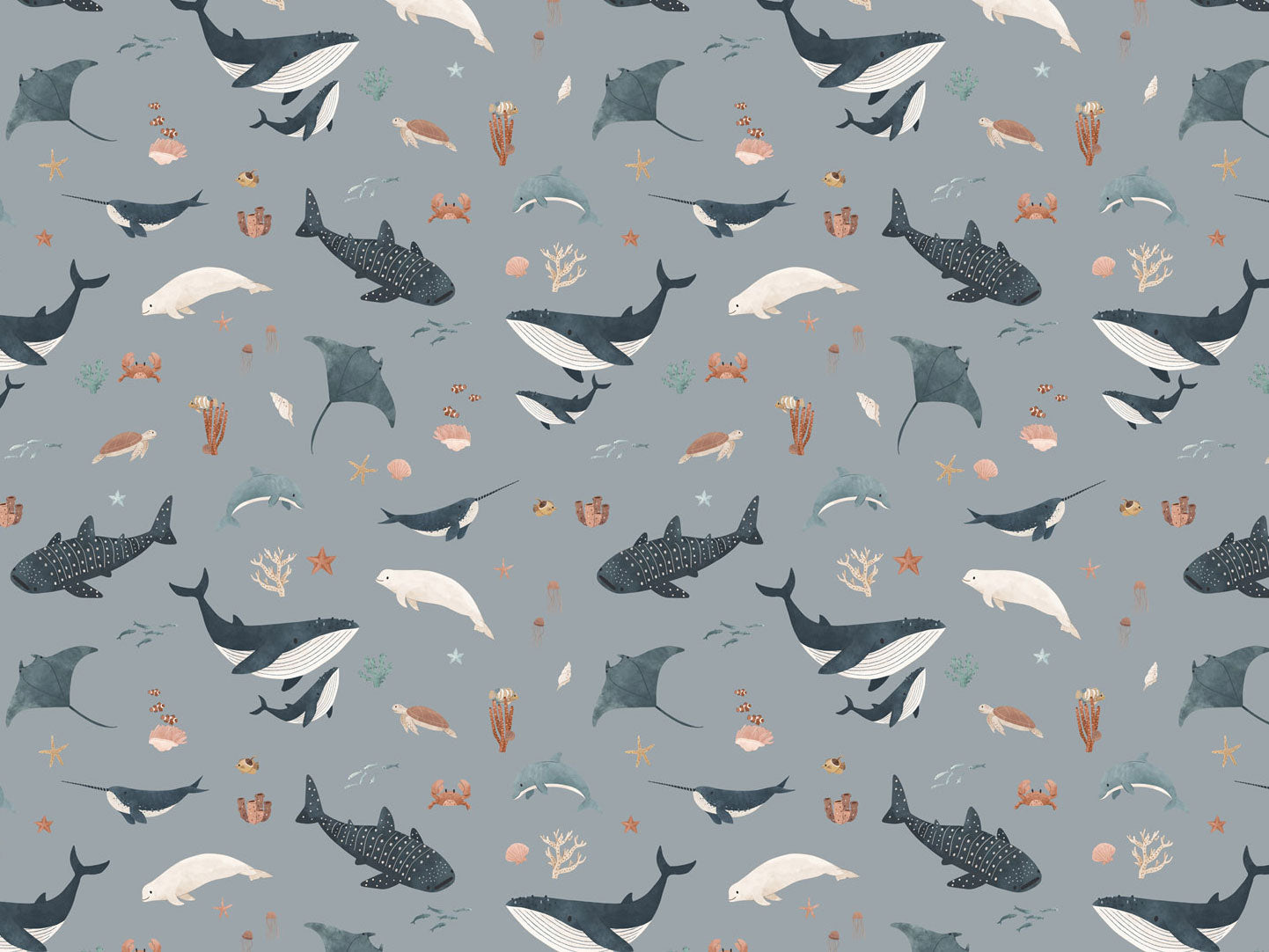 Splendid Sea - Eclart Walls