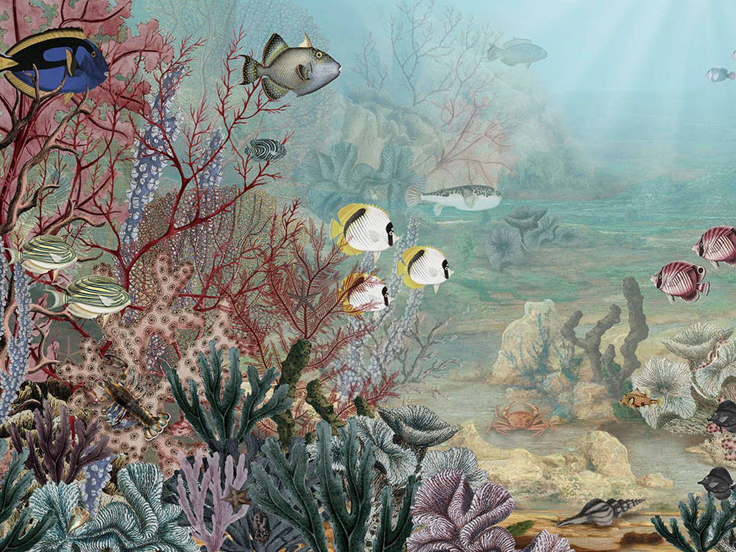 Coral Creatures - Eclart Walls