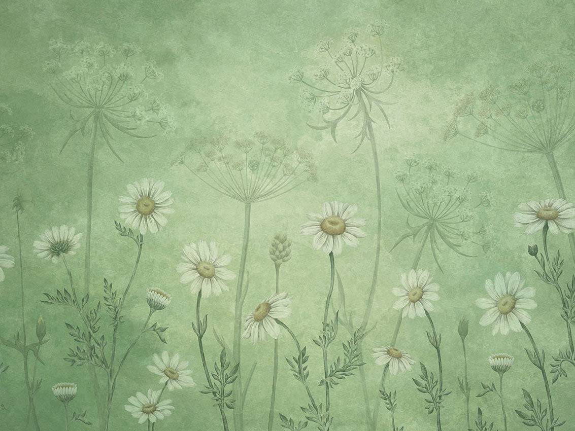 Dazzling Daisies - Eclart Walls