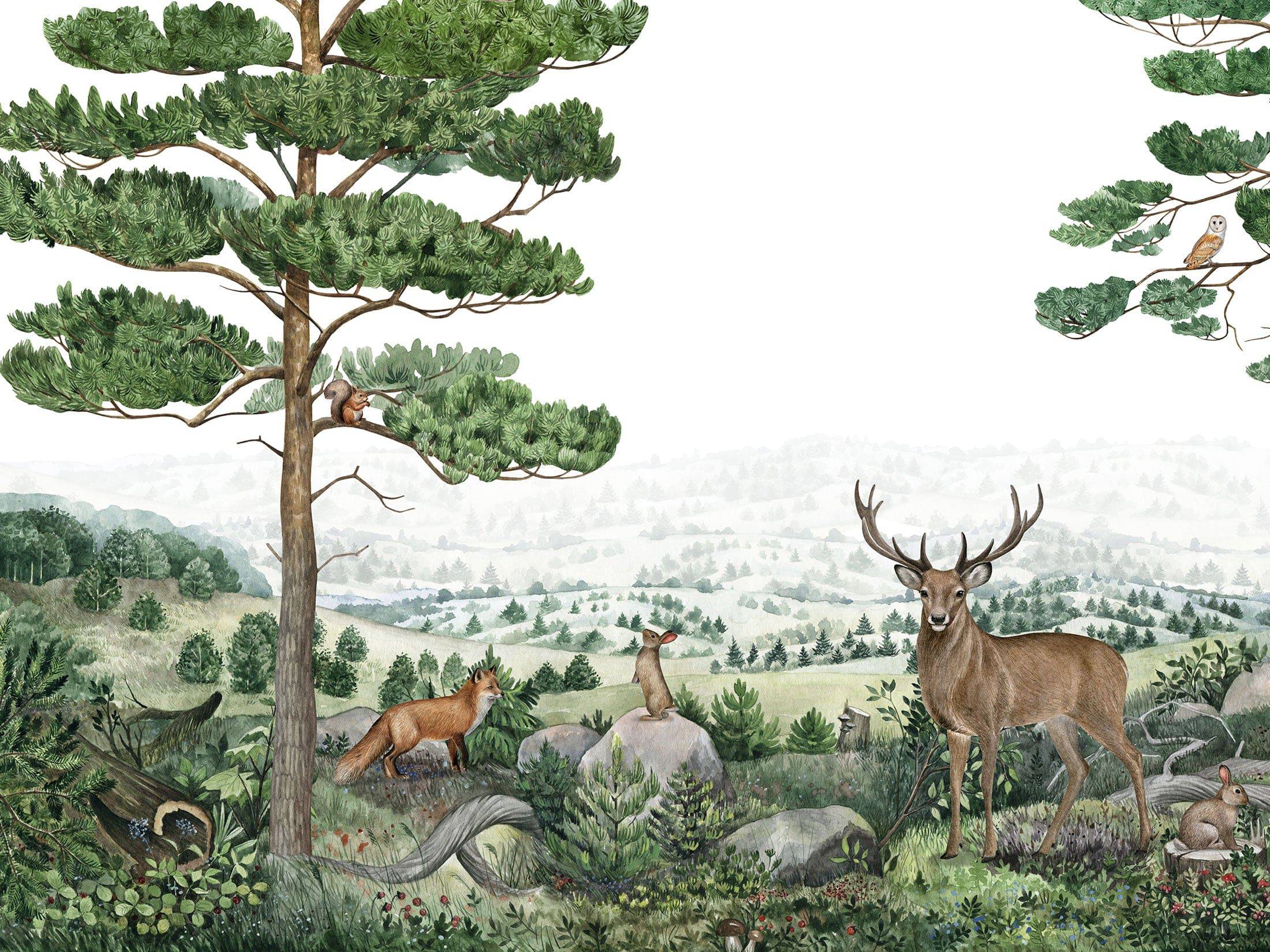 Forest Vista - Eclart Walls