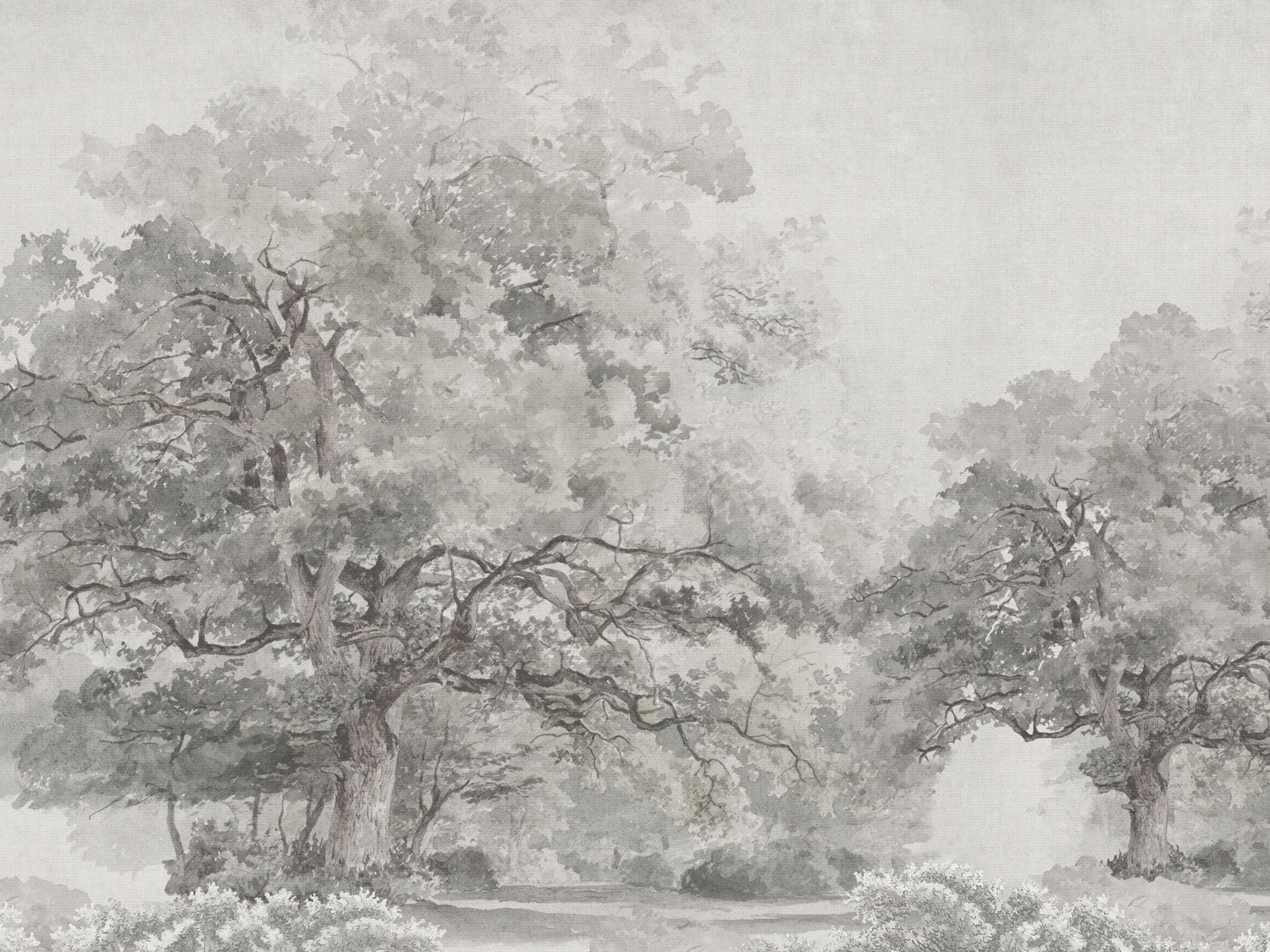 Forest Mystical - Eclart Walls