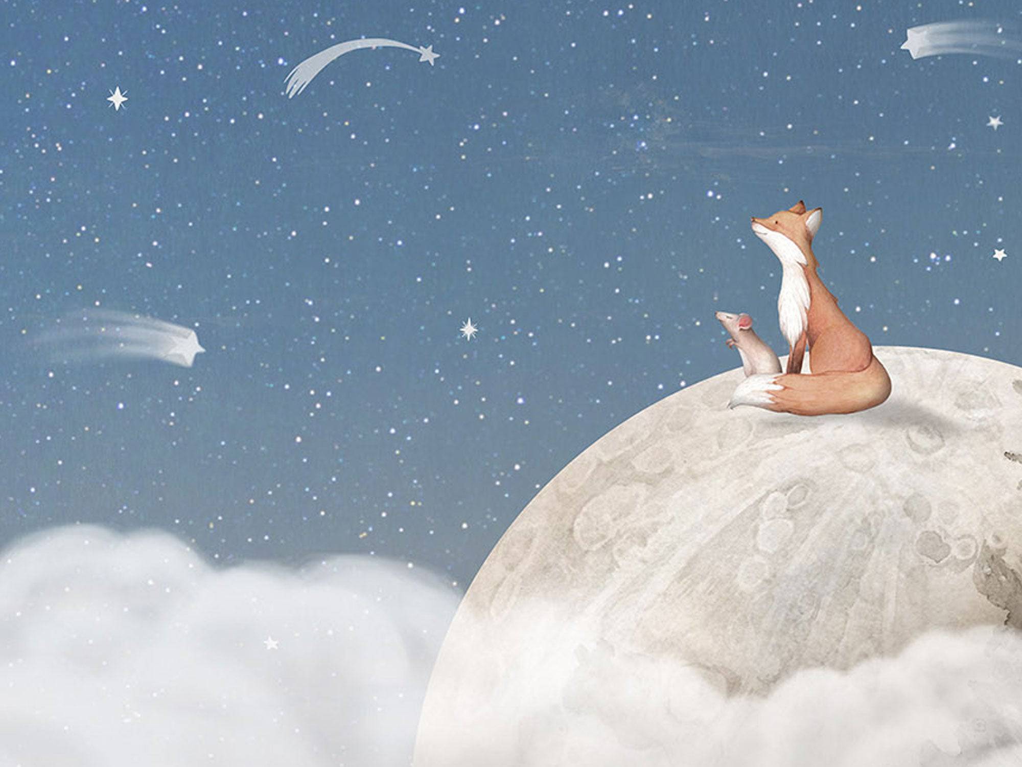 Fox On The Moon - Eclart Walls