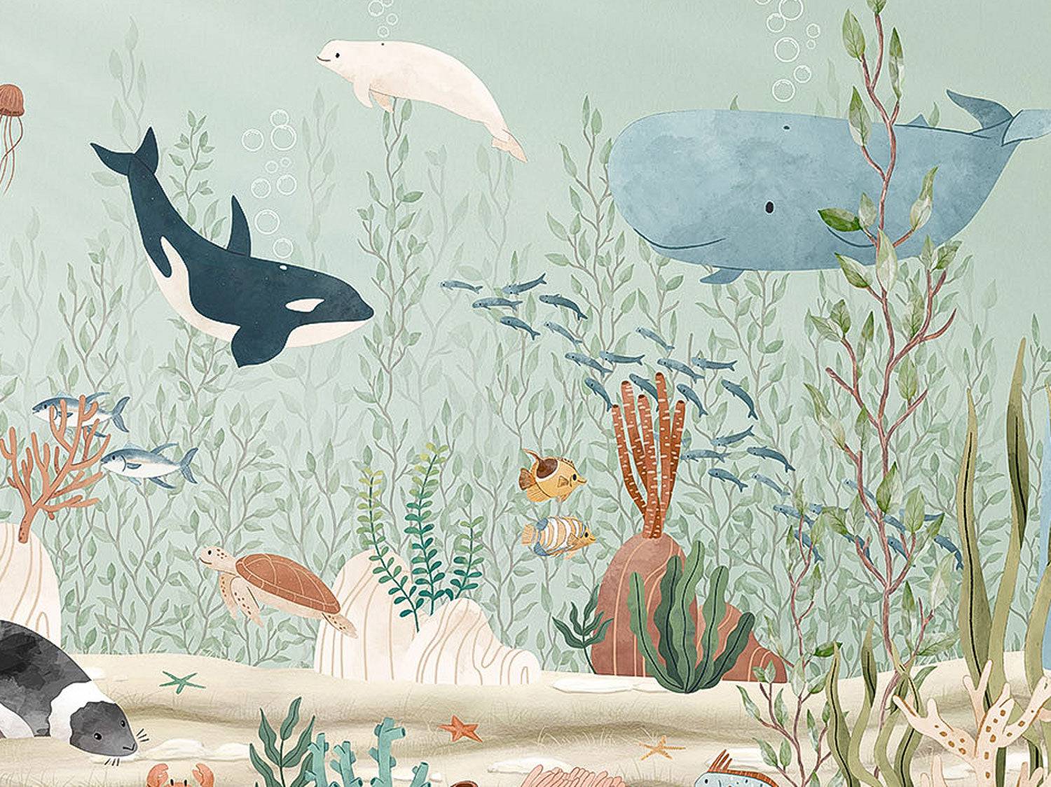 Kelp Forest - Eclart Walls