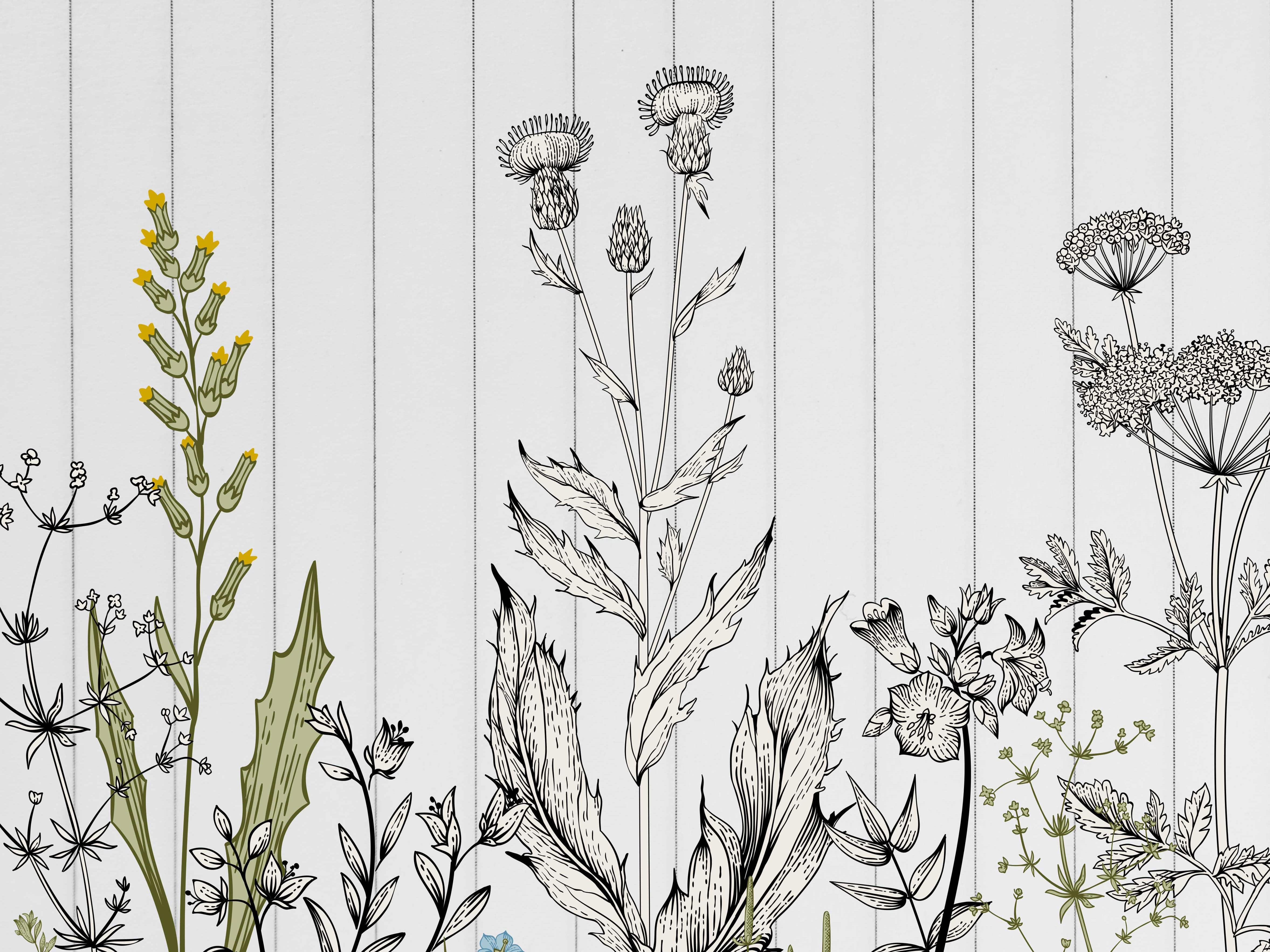 Black And White In Colour - Eclart Walls
