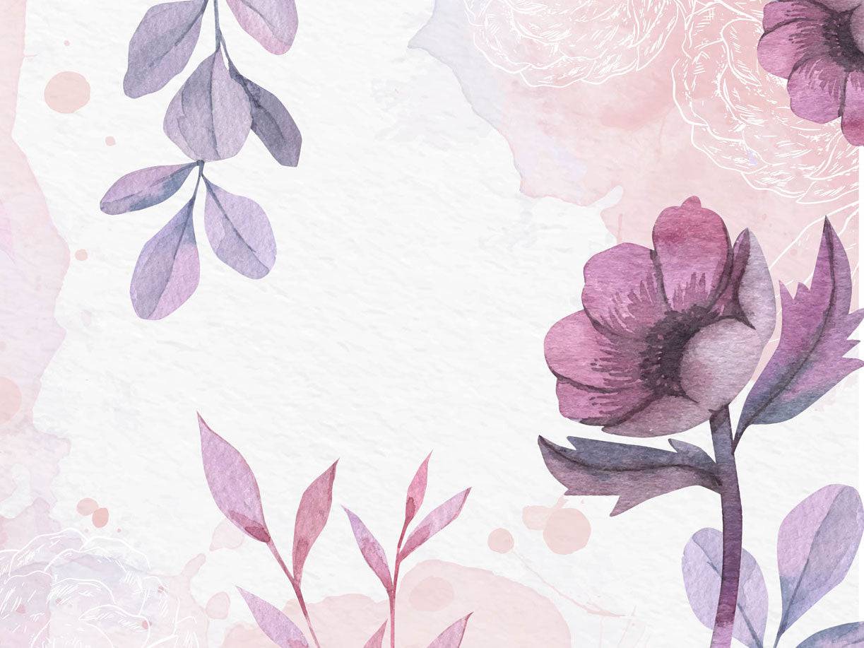 With Love, Lily - Eclart Walls