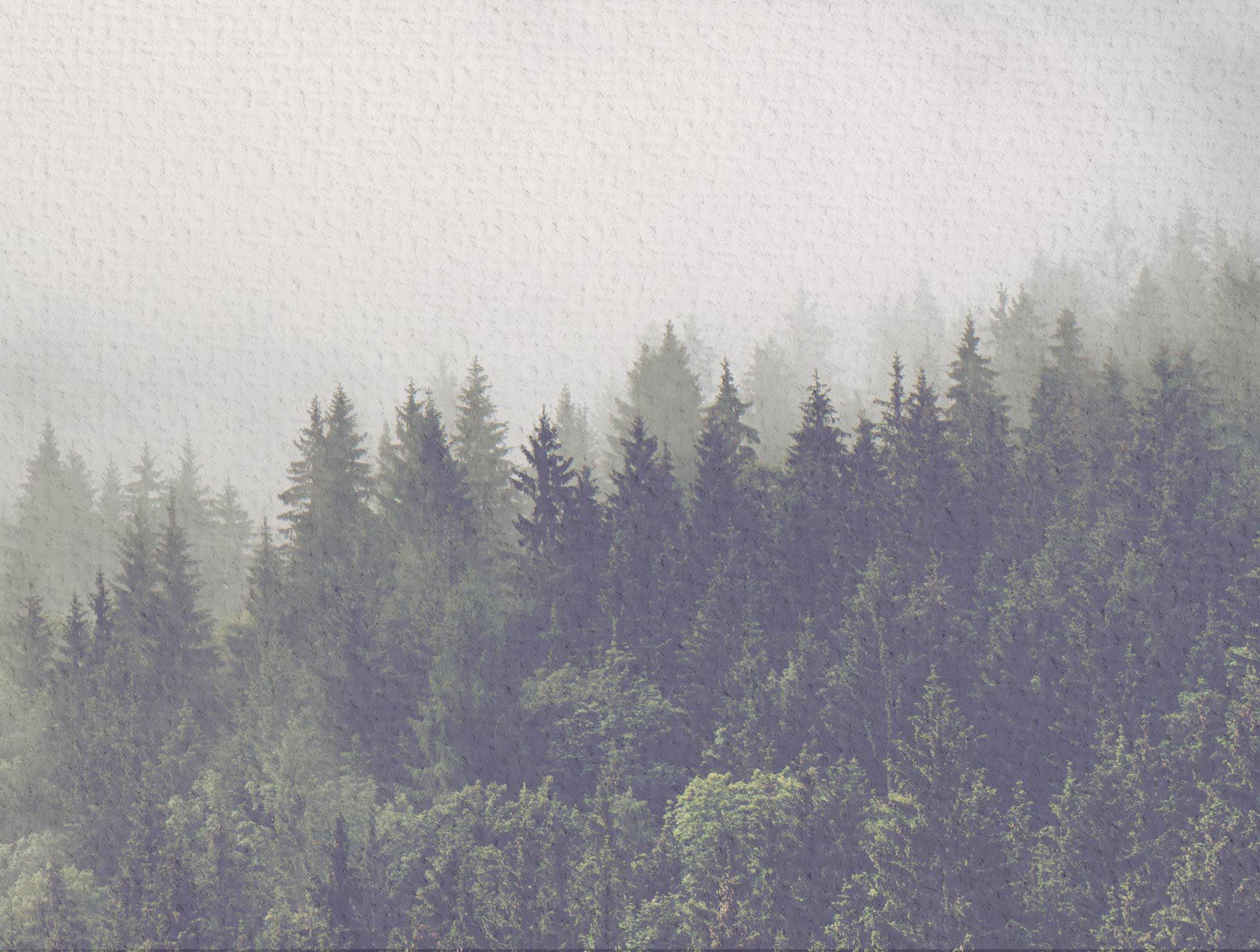 Forest Edition - Eclart Walls