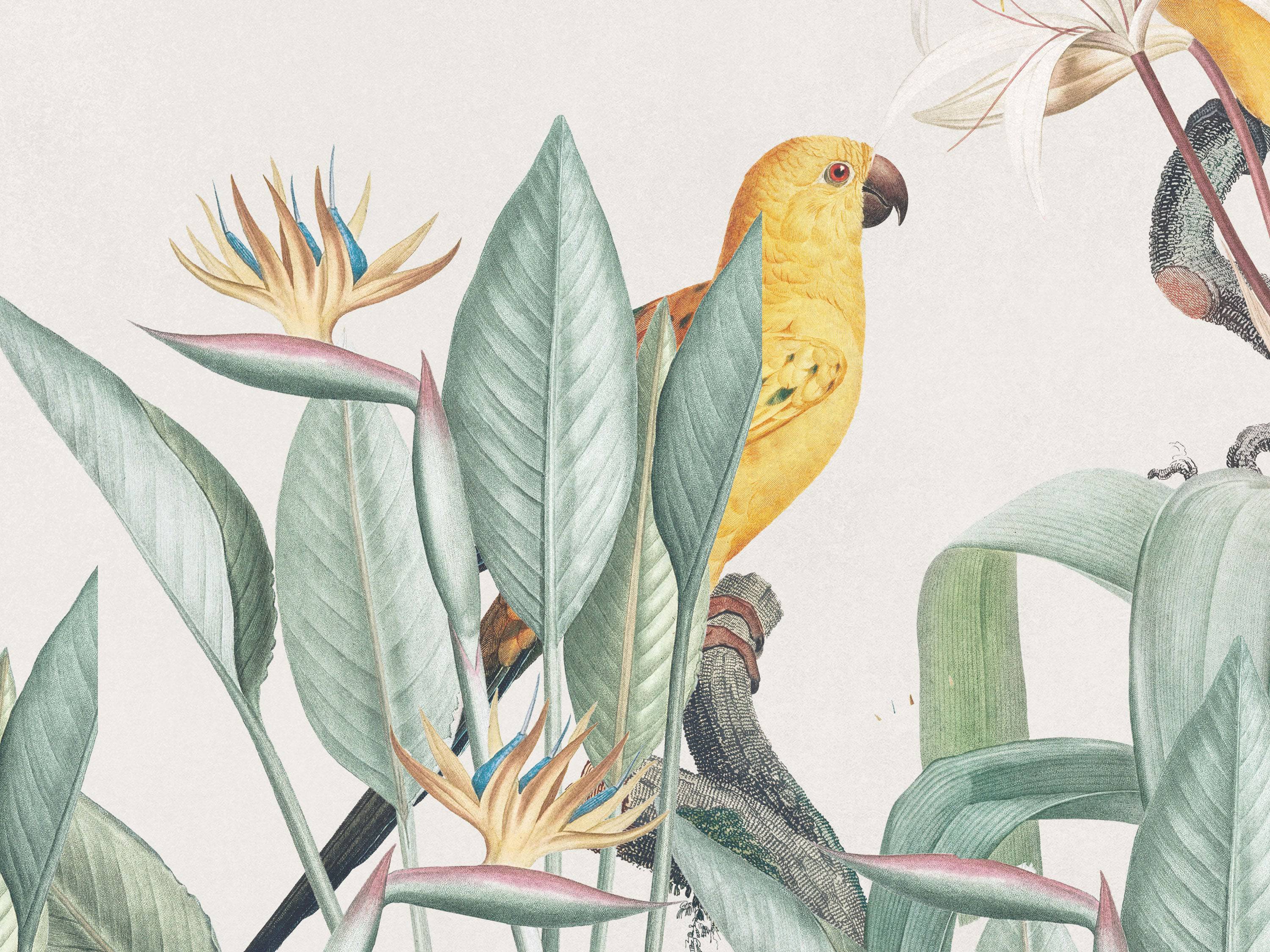 Retro Birds - Eclart Walls