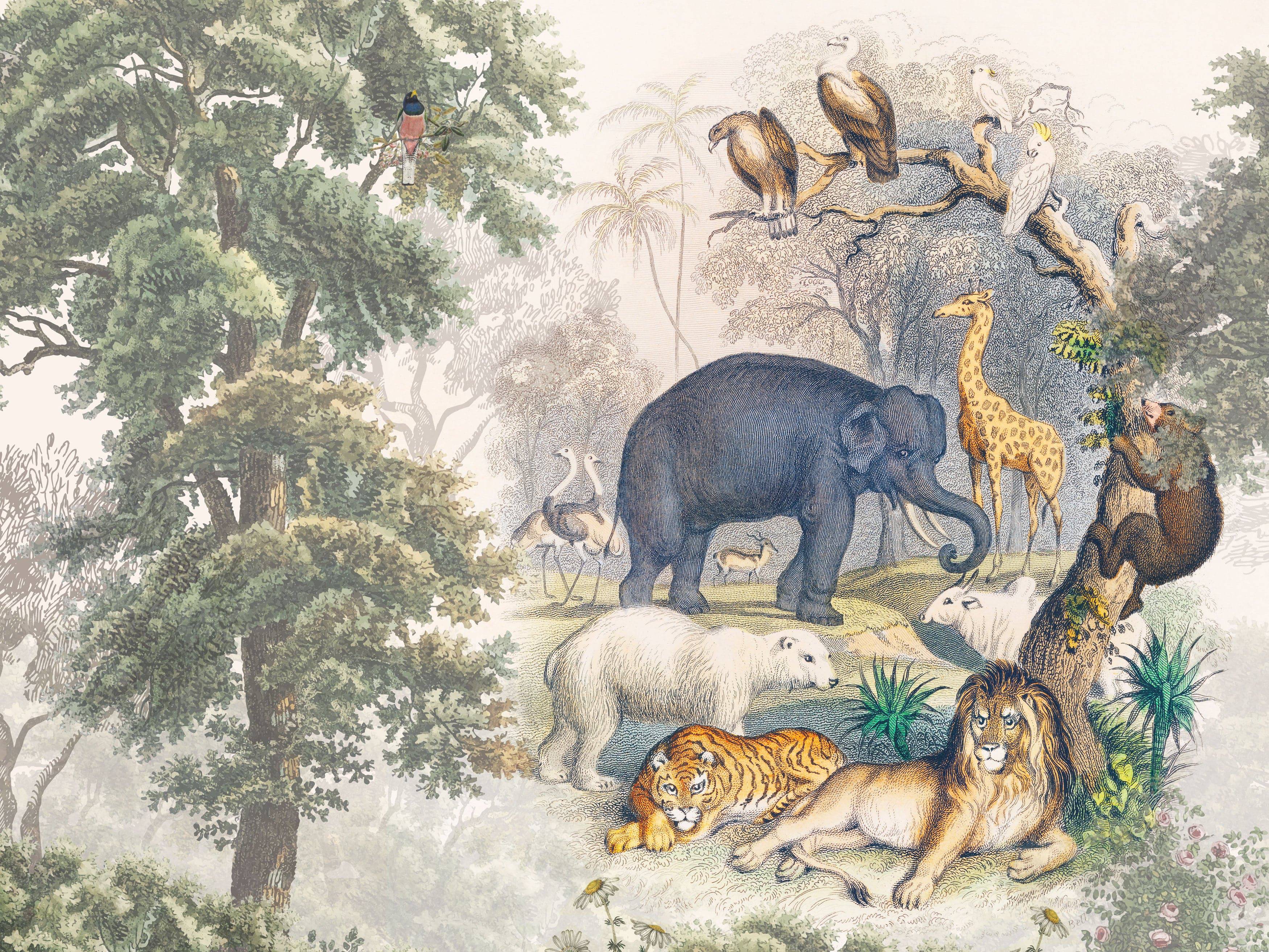 English Zoo City - Eclart Walls