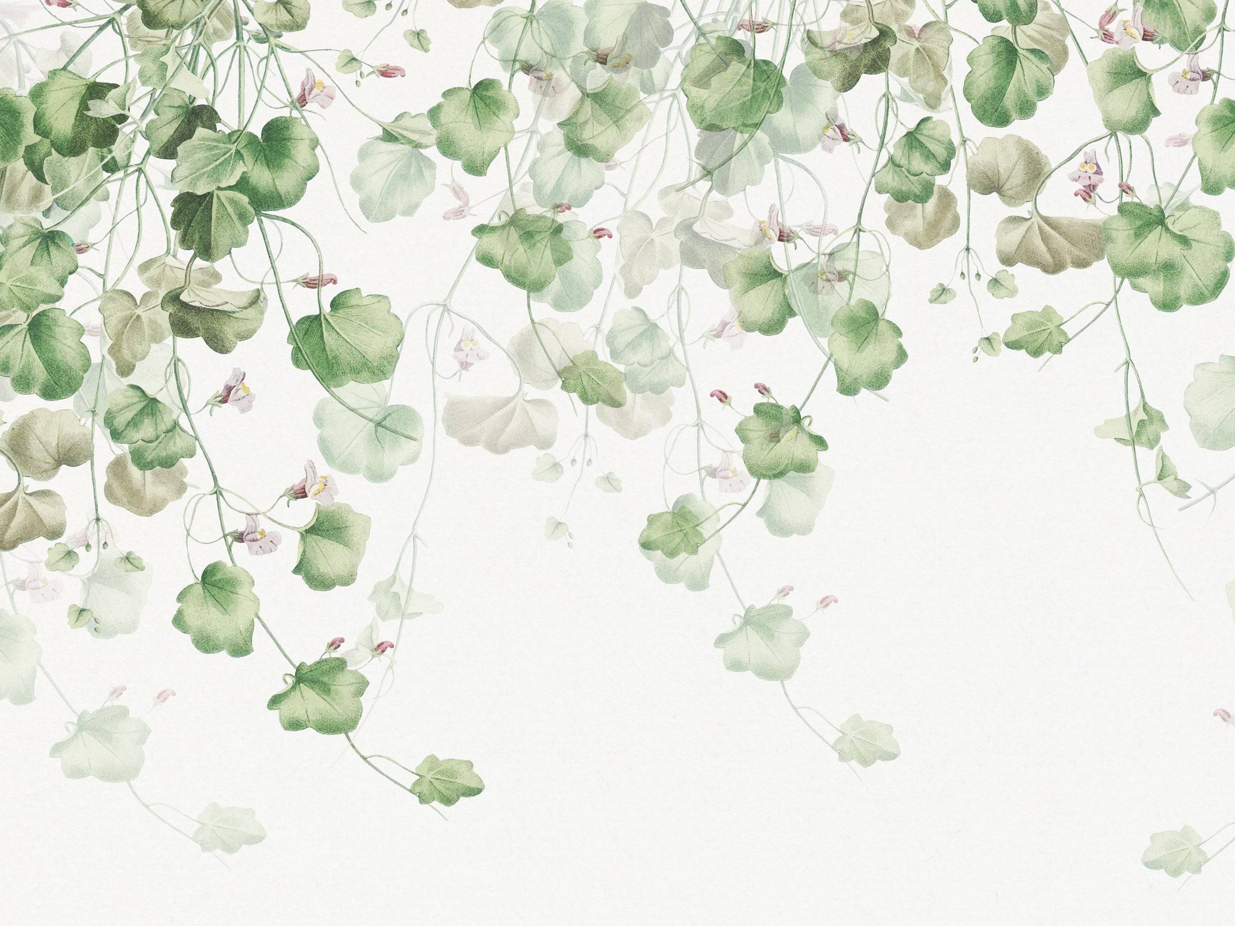 Hanging Plants - Eclart Walls