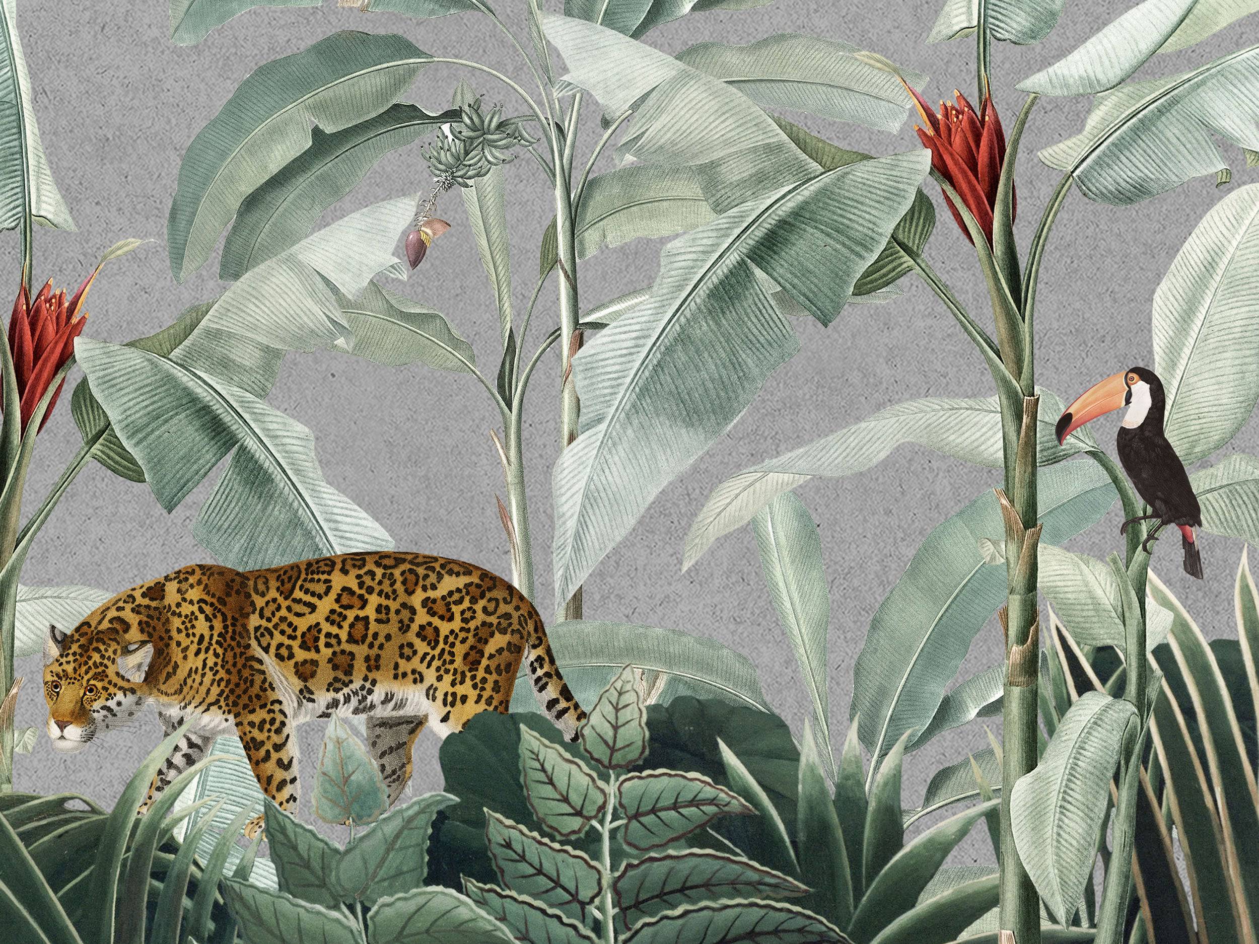 Tropical Meetings - Eclart Walls