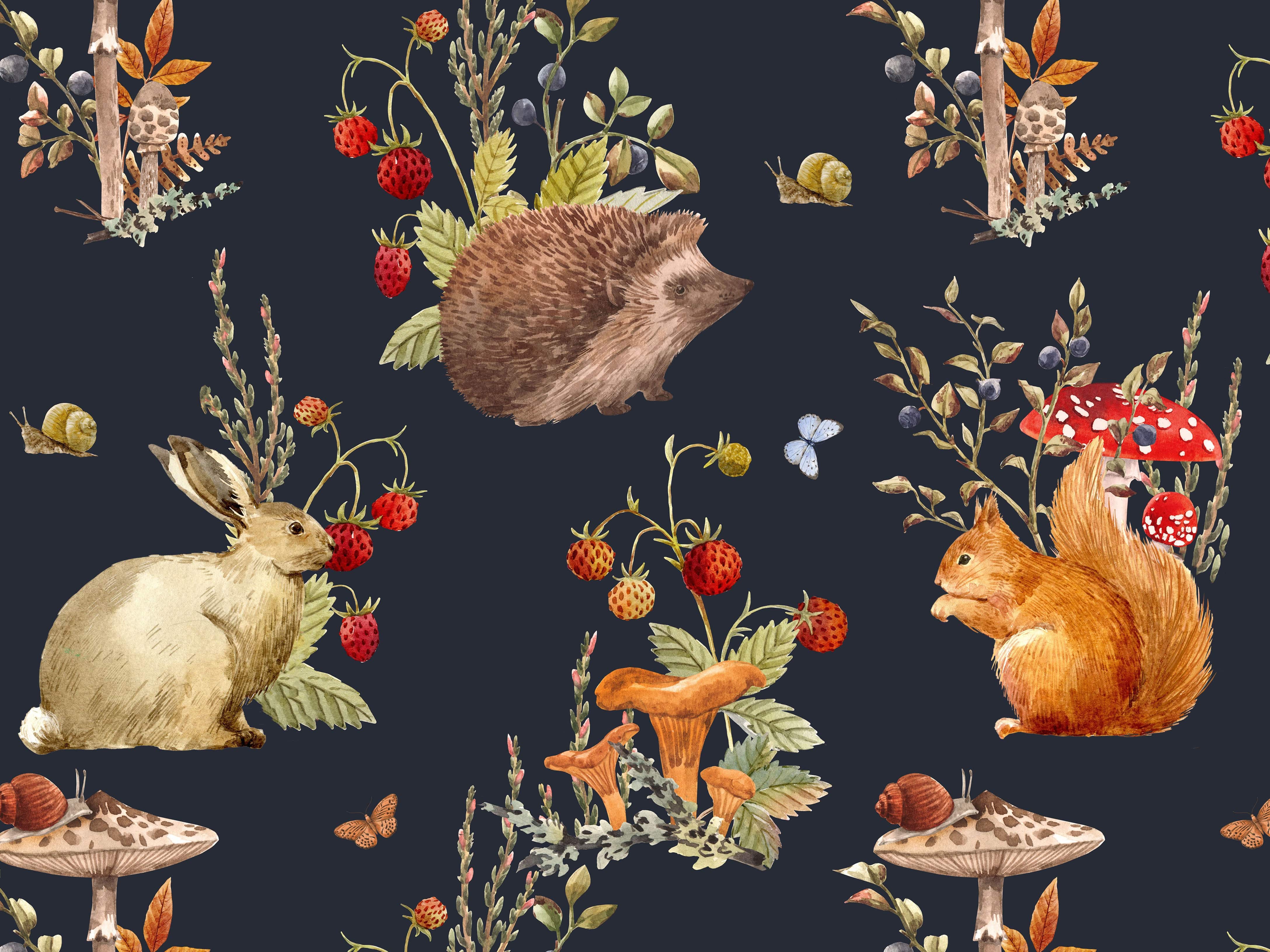 Hedgehog And Company - Eclart Walls