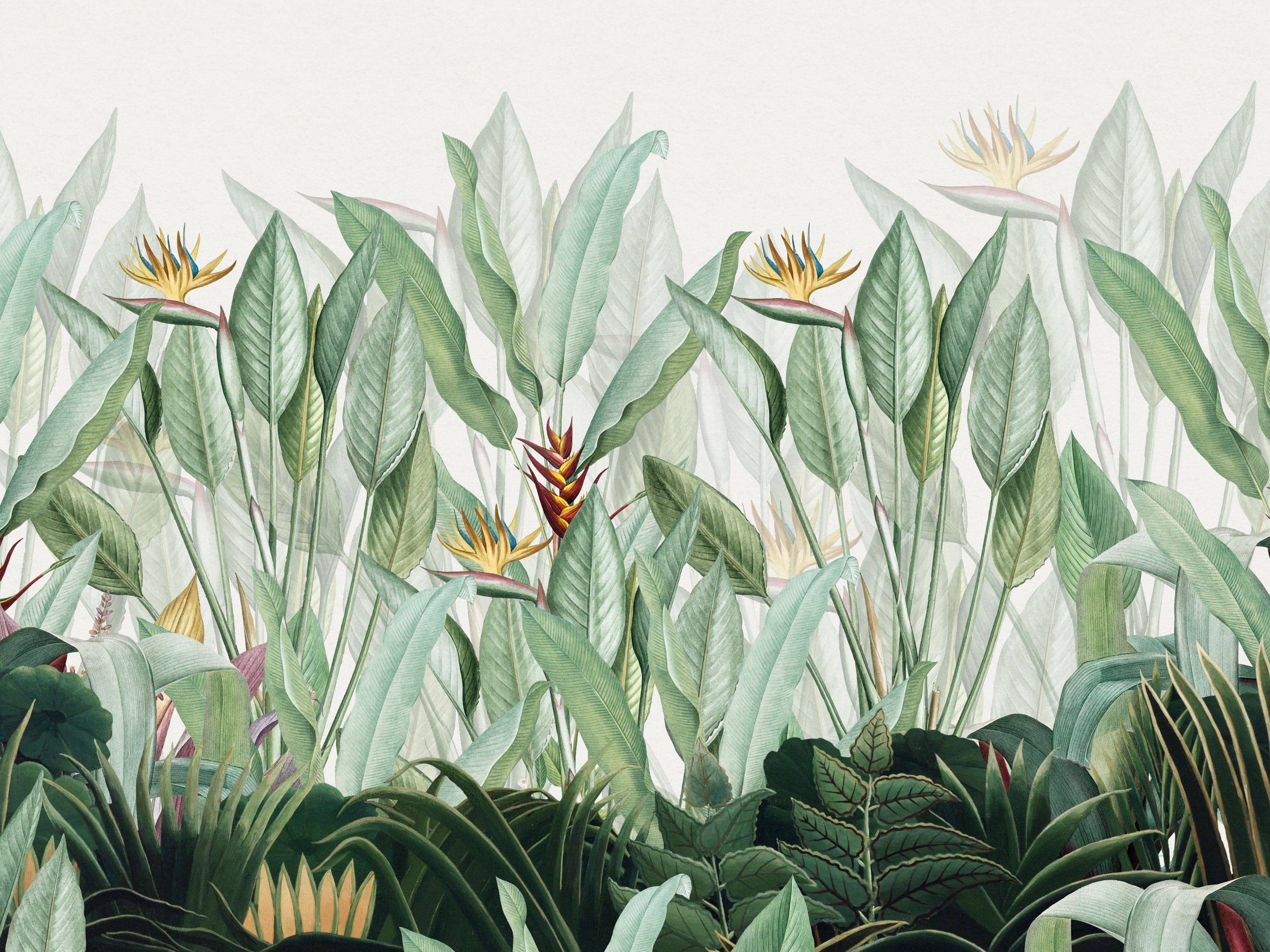 Shimmering Woods - Eclart Walls