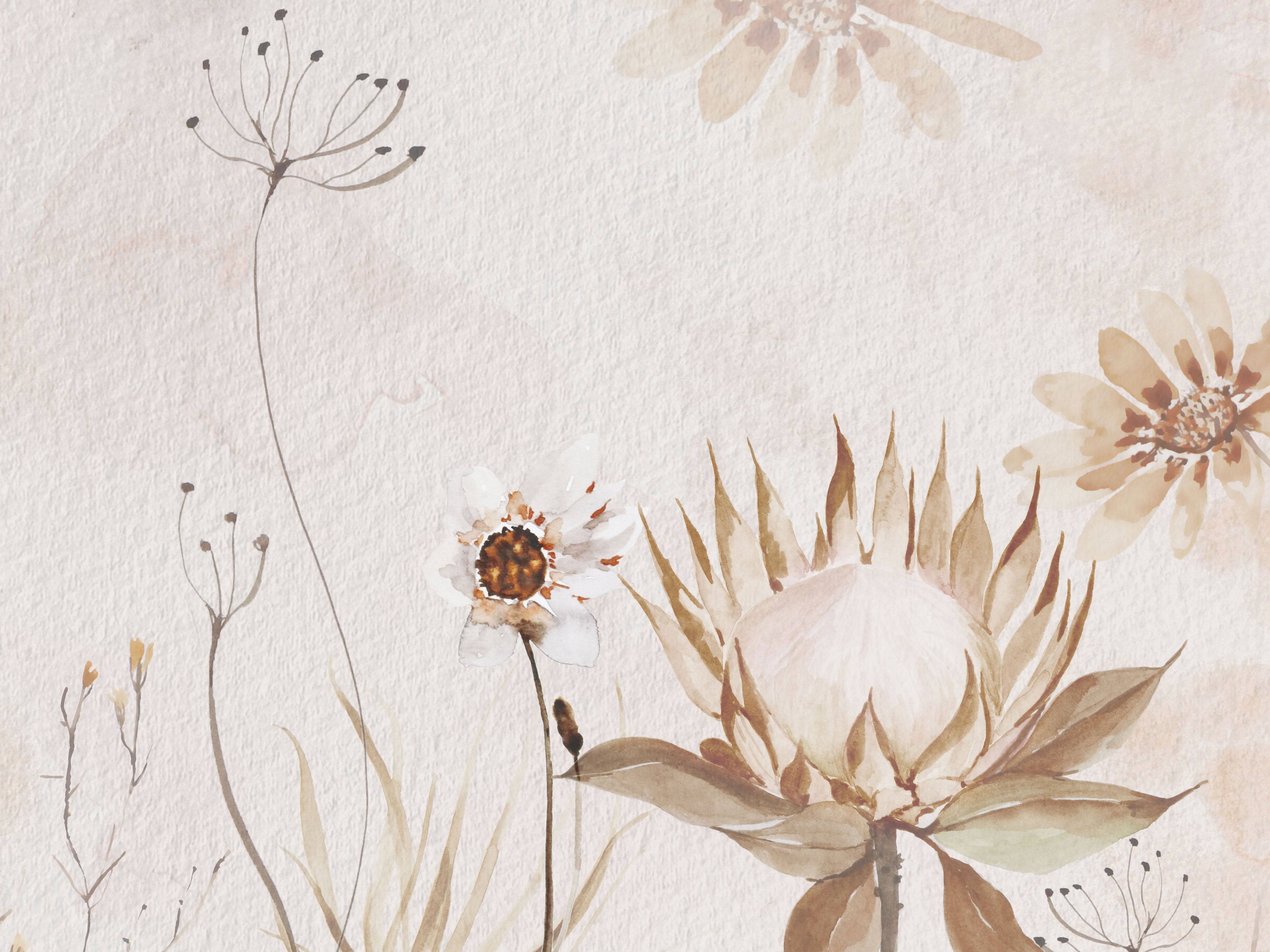 Boho Bliss - Eclart Walls