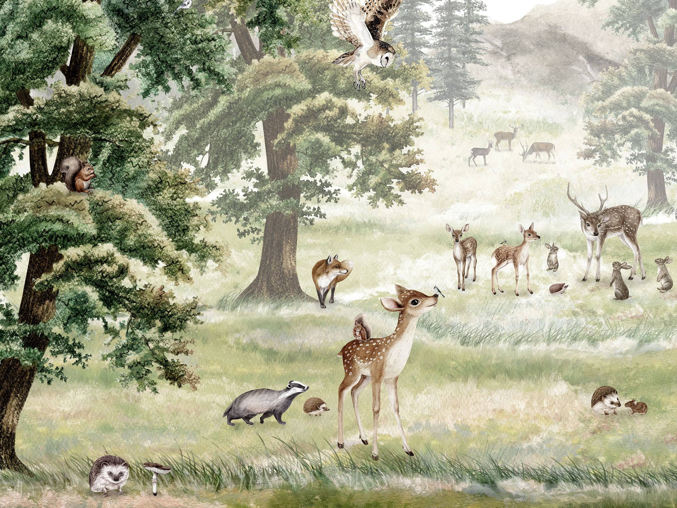 Forest Fun - Eclart Walls