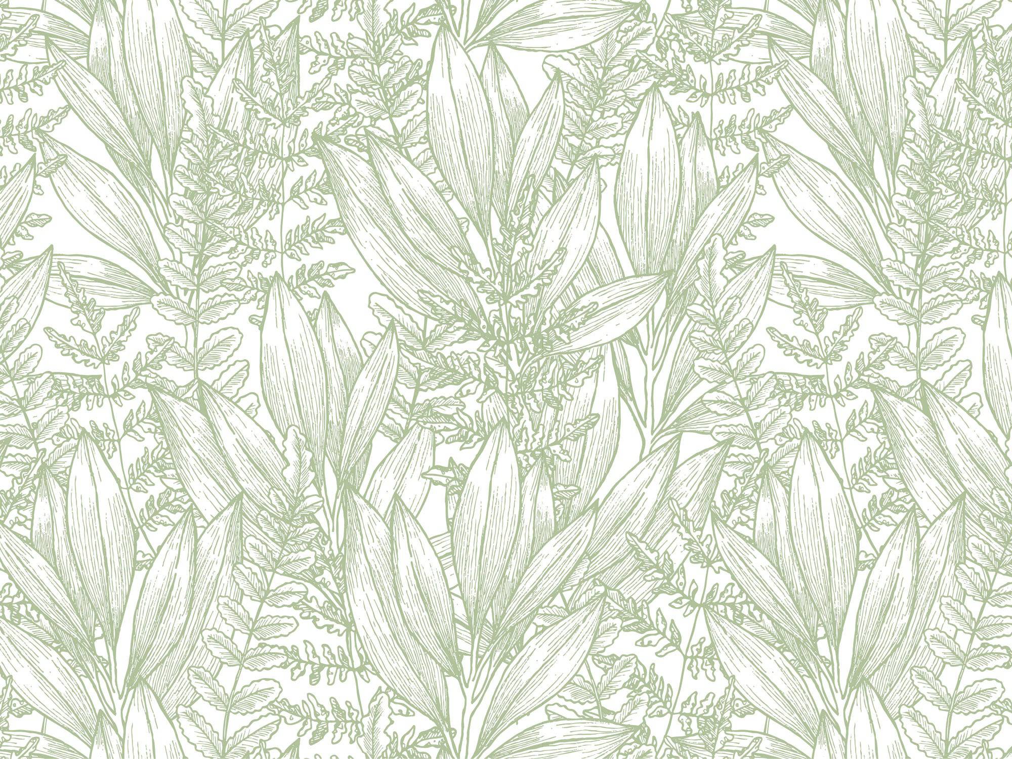 Serenity Leaves - Eclart Walls