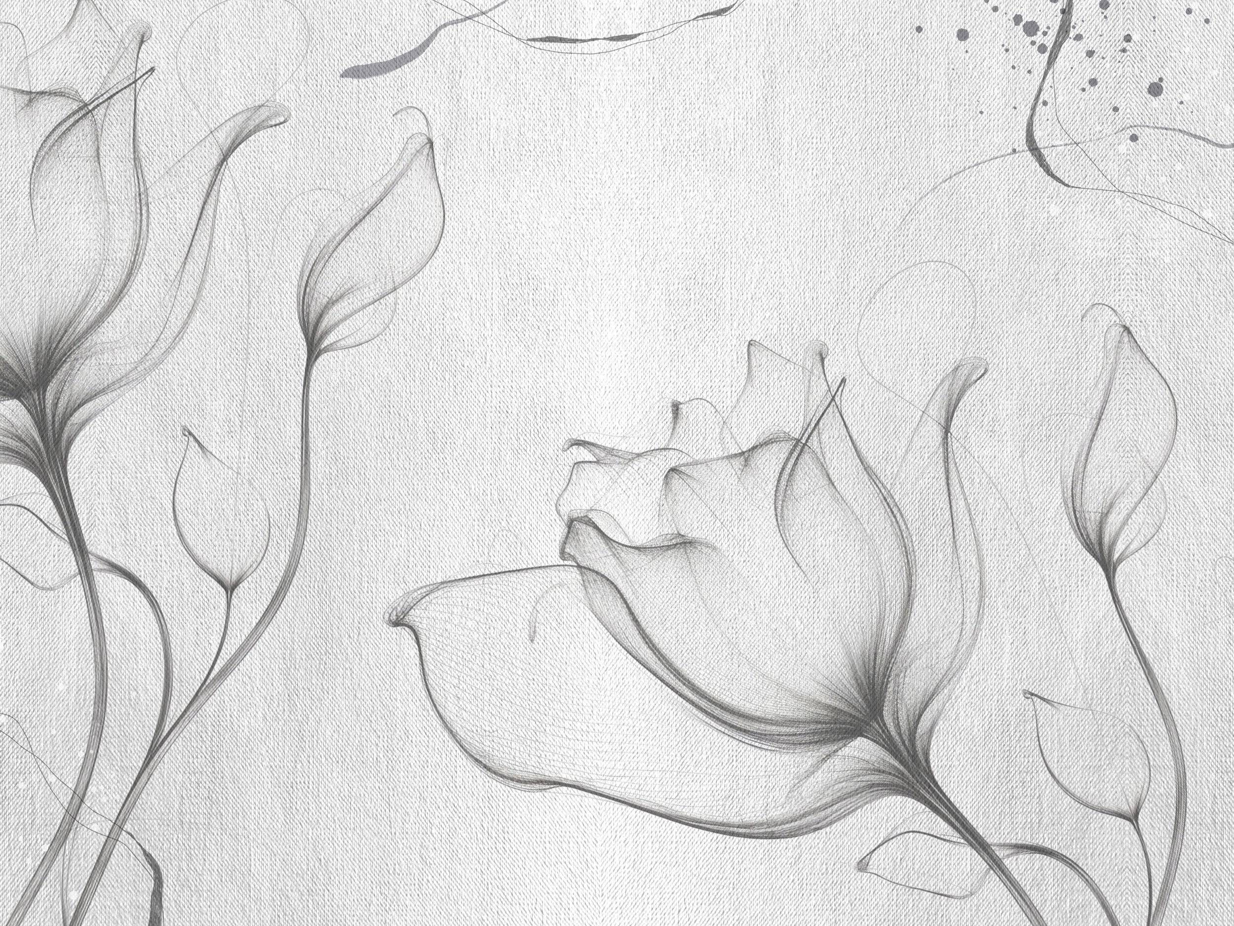 Artistic Lines - Eclart Walls