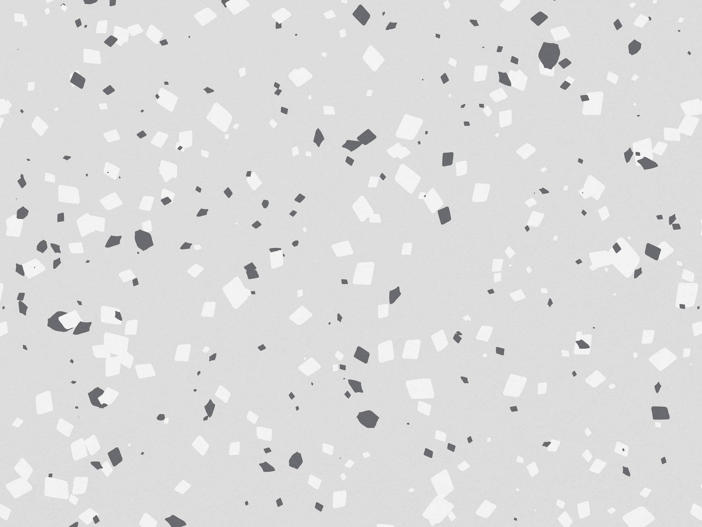 Black And White Terrazzo