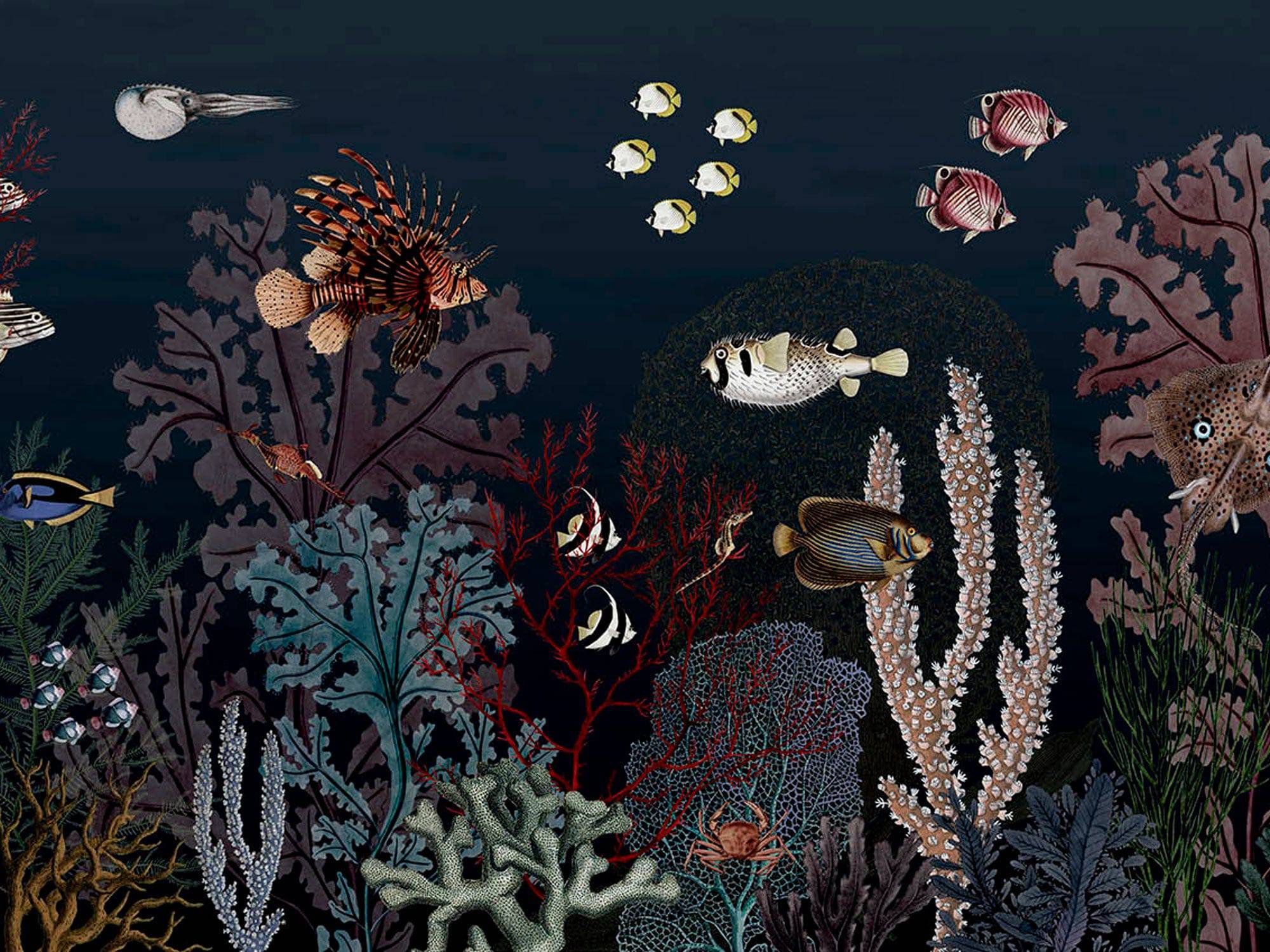 Roaring Reef - Eclart Walls