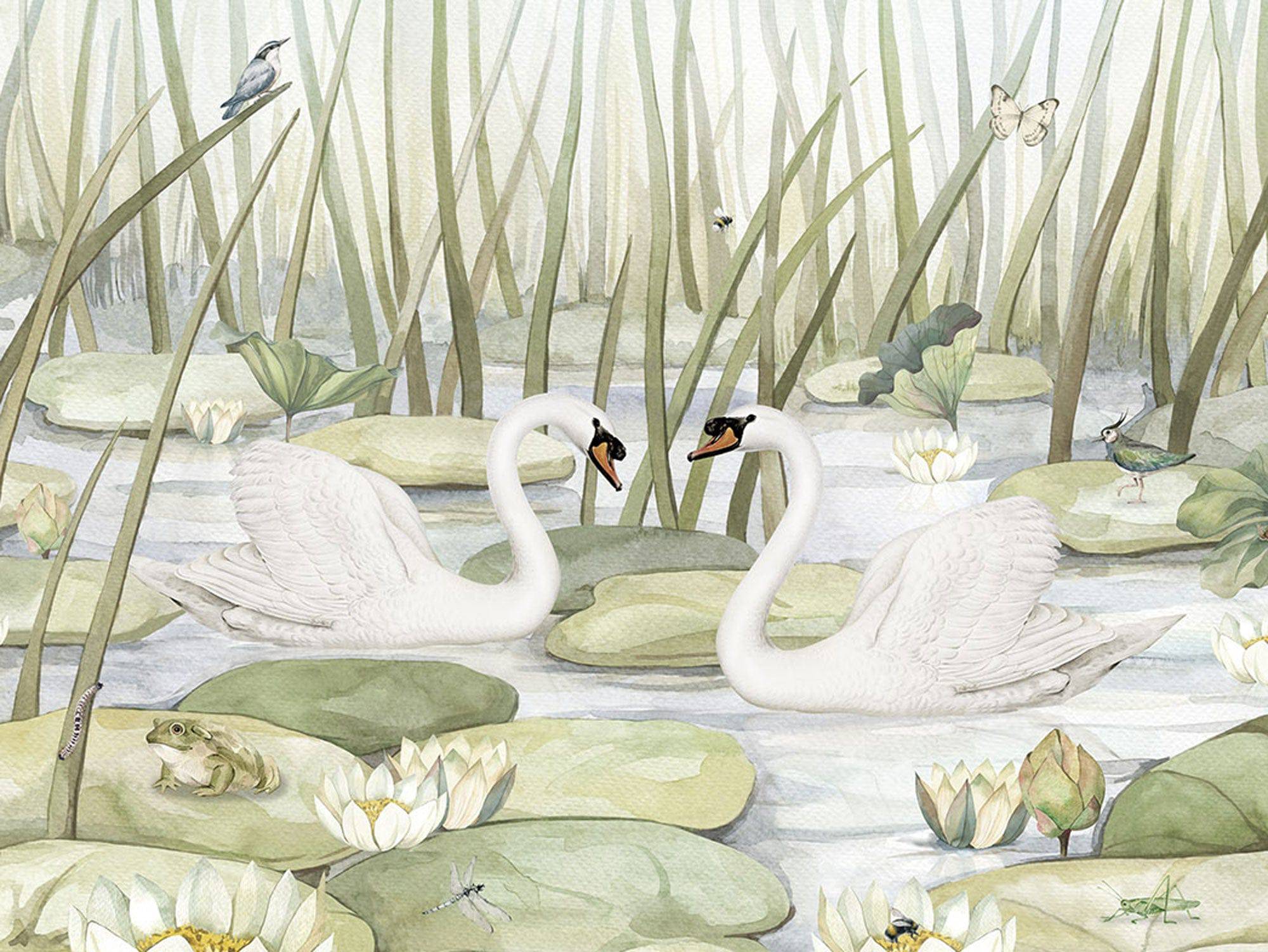 Spectacular Swans - Eclart Walls